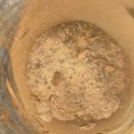 lignin ishlab chiqarish